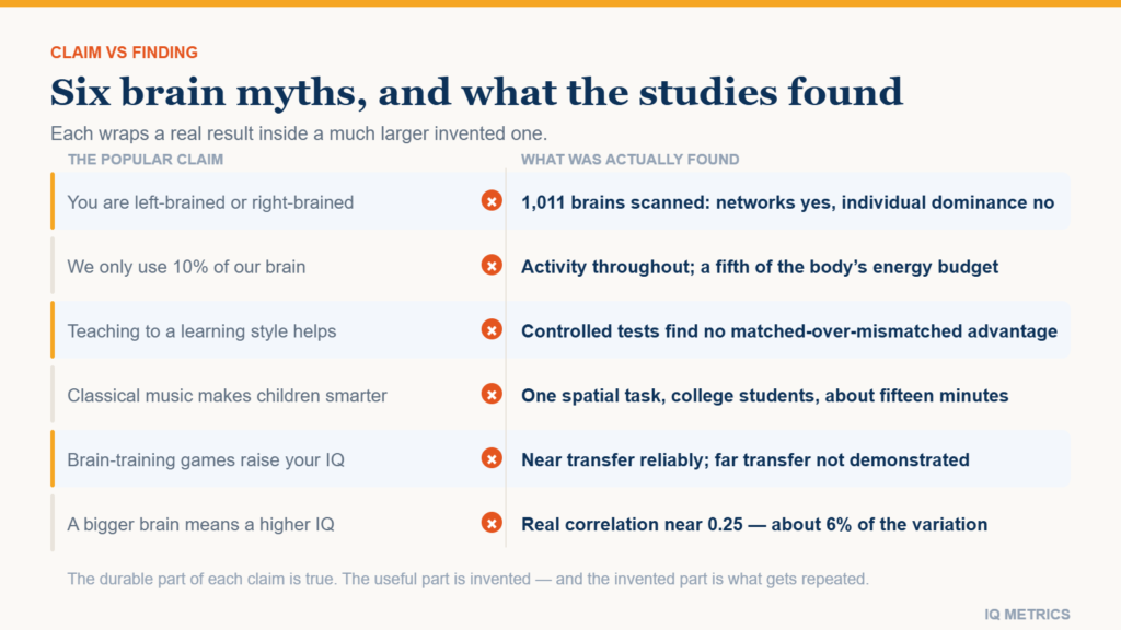 Brain Myths About Intelligence