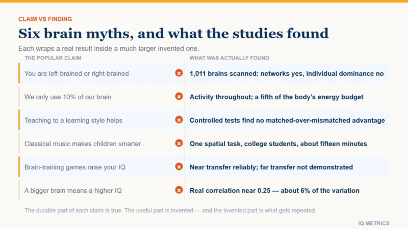 Chart contrasting six popular brain claims with what research found, showing the residual grain of truth in each: lateralisation without dominance, whole-brain activity, no meshing effect, no far transfer and a small brain size correlation