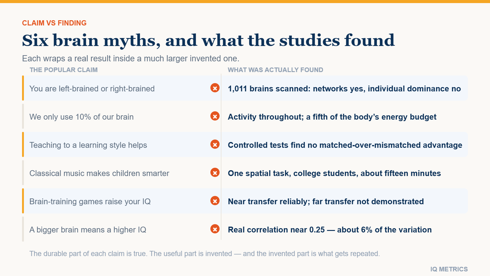 Brain Myths About Intelligence