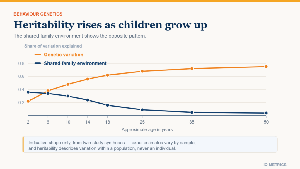 Chart showing how the heritability of IQ rises from childhood to adulthood