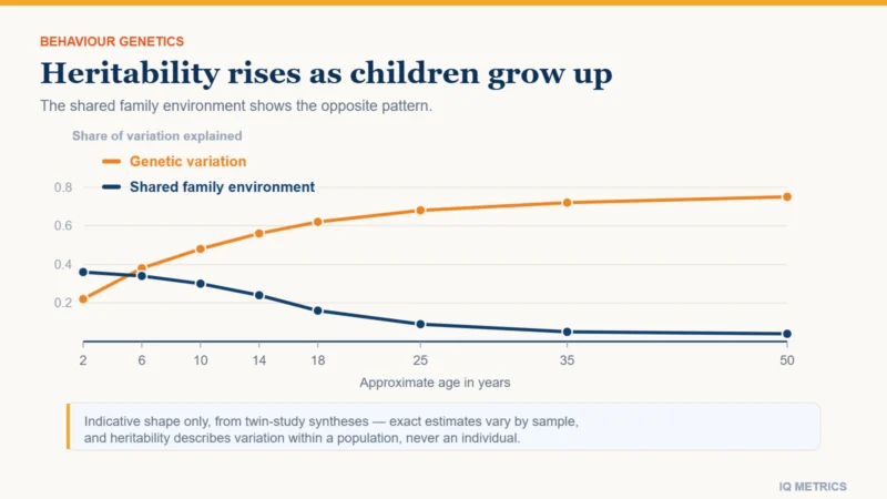 Chart showing how the heritability of IQ rises from childhood to adulthood