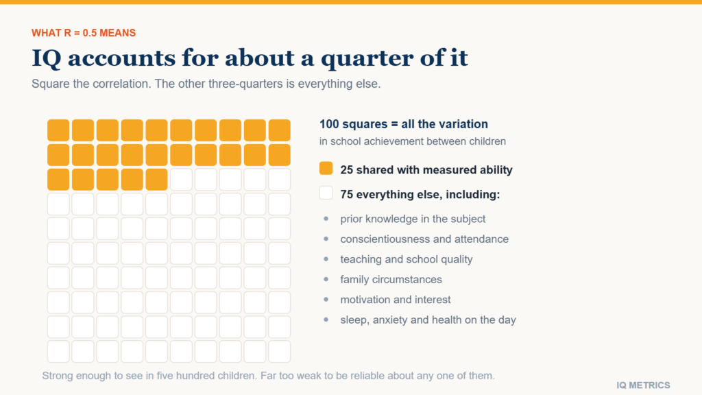 Does IQ Predict School Success?