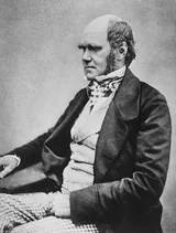 Charles Darwin, seated studio portrait from 1854