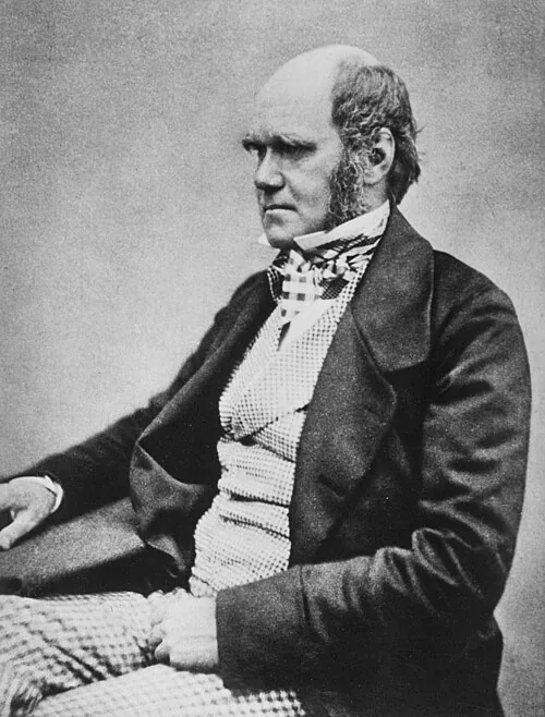 Charles Darwin, seated studio portrait from 1854