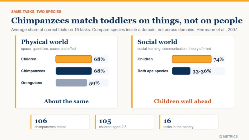 Two panels comparing chimpanzees with 2.5-year-old children on the same 16-task battery: on physical tasks chimpanzees and children were each right on about 68% of trials, while on social tasks children scored about 74% against 33 to 36% for the two ape species.