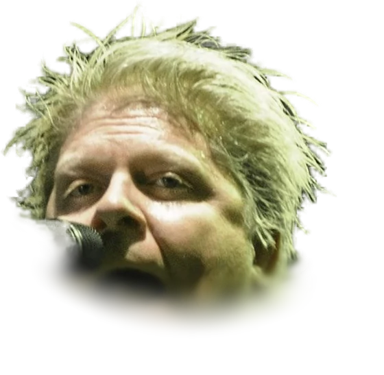 Dexter Holland performing live, 2016