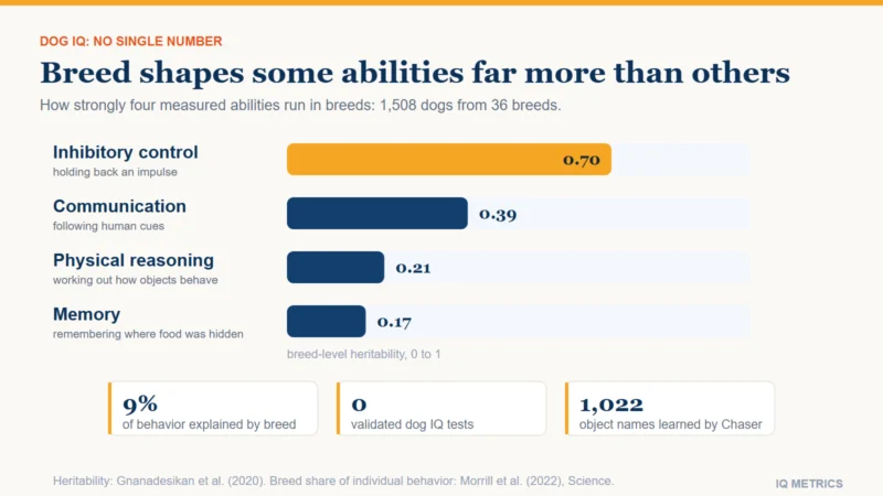 Bar chart of breed-level heritability for four dog cognitive abilities: inhibitory control 0.70, communication 0.39, physical reasoning 0.21 and memory 0.17.