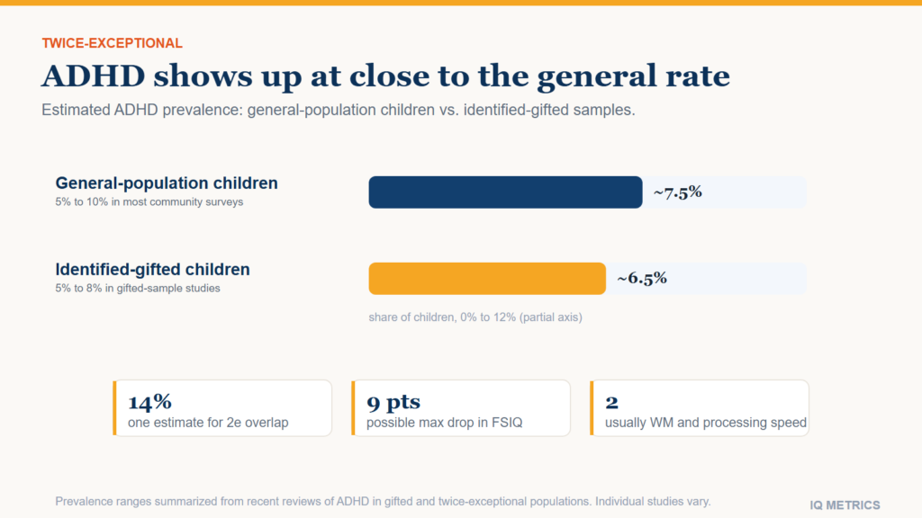 Bar chart comparing estimated ADHD prevalence in general-population children, about 7.5 percent, and identified-gifted children, about 6.5 percent, showing the two rates are close.