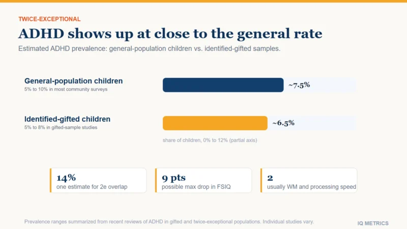 Bar chart comparing estimated ADHD prevalence in general-population children, about 7.5 percent, and identified-gifted children, about 6.5 percent, showing the two rates are close.