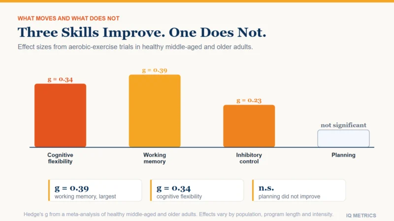 Bar chart of aerobic exercise effects on four executive function skills, showing real improvements in inhibitory control, working memory and cognitive flexibility, and no significant change in planning