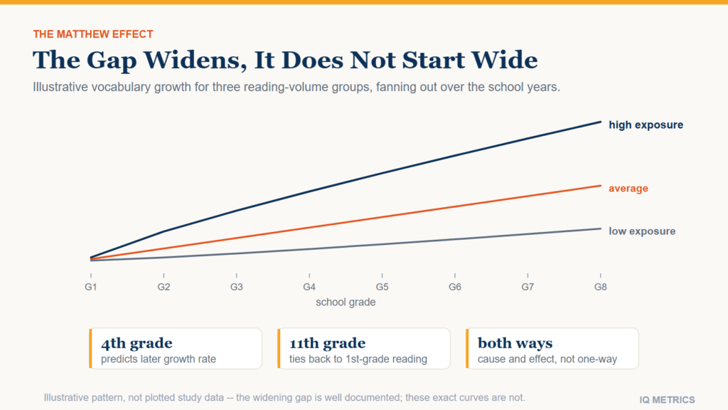 Does Reading Raise Your IQ?