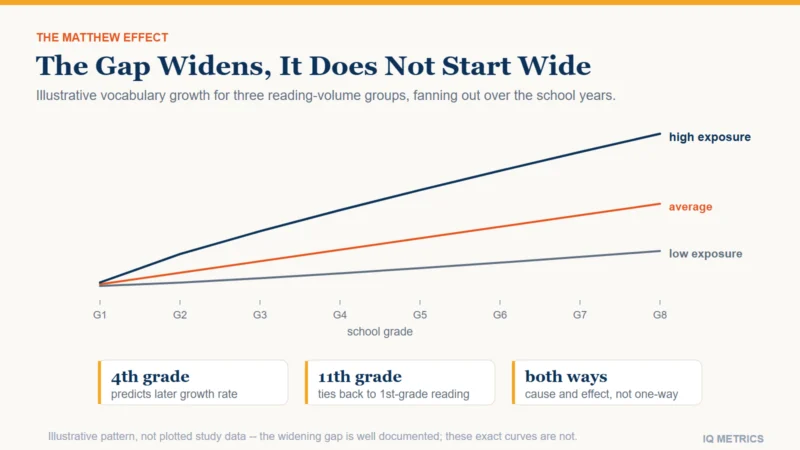 Line chart of vocabulary size across school grades for three reading-volume groups, starting close together in early grades and fanning out into a wide gap by the later grades