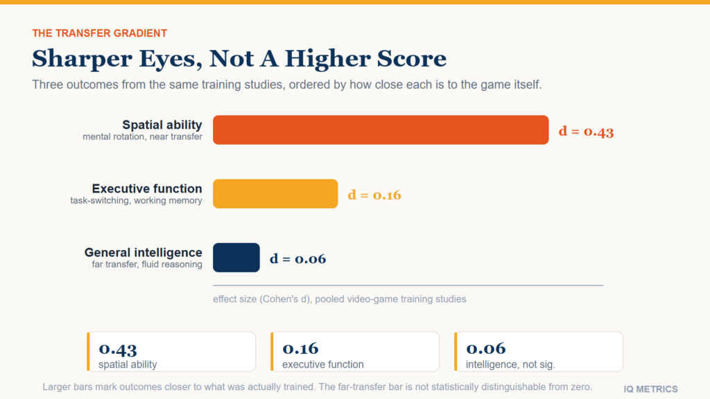 Do Video Games Raise Your IQ?