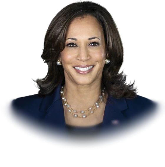 Kamala Harris in her official portrait as Vice President of the United States