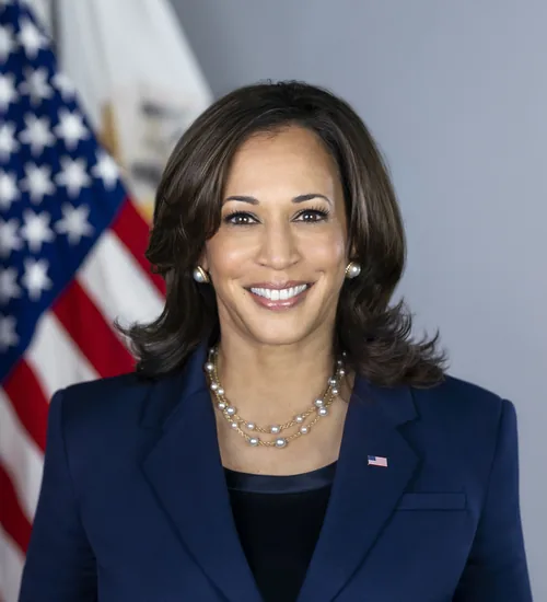 Kamala Harris in her official portrait as Vice President of the United States