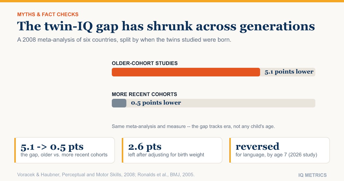 Do Twins Have Lower IQ Than Singletons? What the Data Shows