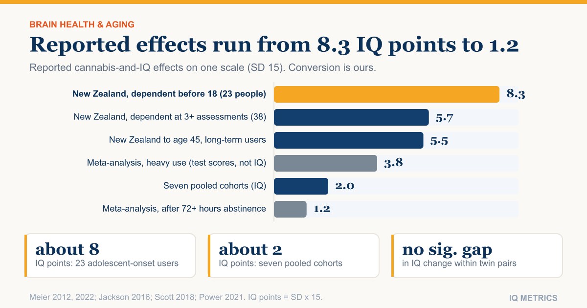 Does Weed Lower IQ? What the Long-Term Studies Actually Show