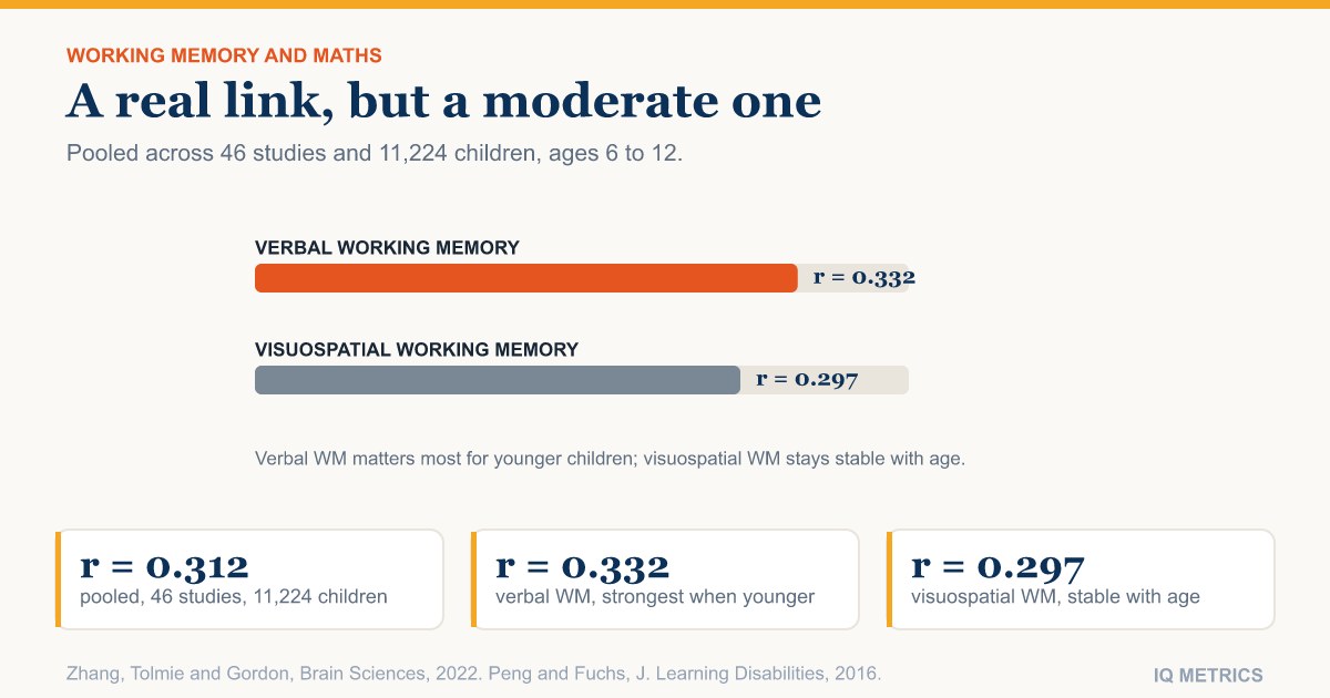 Working Memory and Maths Underachievement: The Data