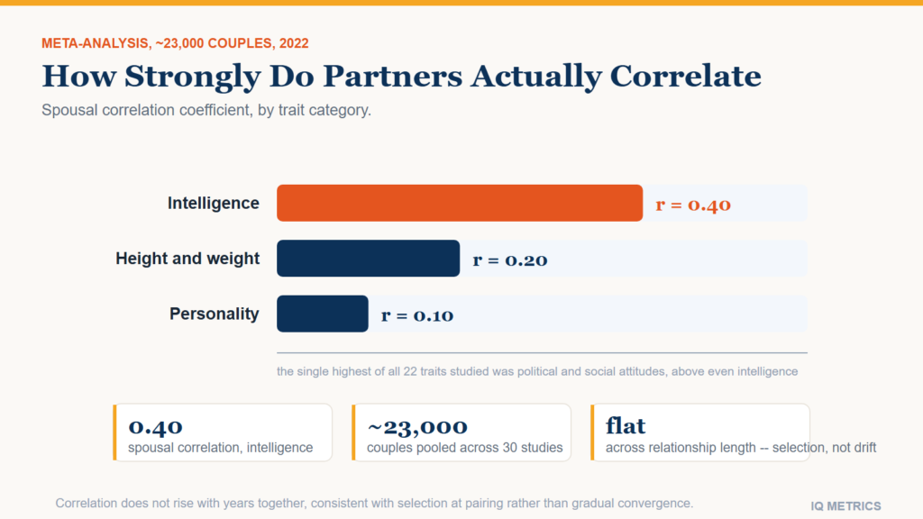Bar chart comparing spousal correlation coefficients across trait categories, showing intelligence at 0.40, height and weight at 0.20, and personality traits at 0.10