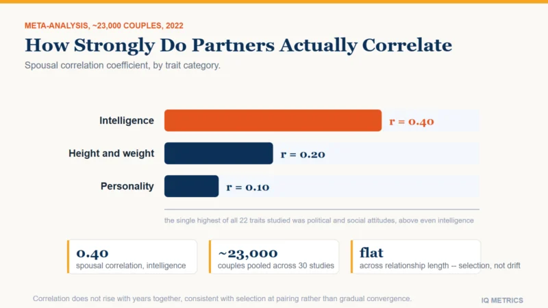 Bar chart comparing spousal correlation coefficients across trait categories, showing intelligence at 0.40, height and weight at 0.20, and personality traits at 0.10