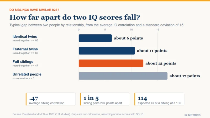 A bar chart of the typical gap, in IQ points, between the scores of two people by how they are related, calculated from the average IQ correlation for each pair (Bouchard and McGue 1981) and a standard deviation of 15. Identical twins reared together (correlation .86): about 6 points. Fraternal twins (.60): about 11. Full siblings reared together (.47): about 12. Unrelated people (no correlation): about 17. Full siblings are much closer to strangers than to identical twins. The gaps are our calculation.