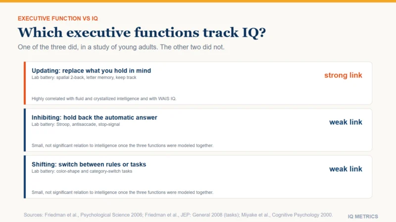 Three finding cards about executive function and IQ from Friedman and colleagues' 2006 study of young adults. Updating, replacing what you hold in mind: highly correlated with fluid and crystallized intelligence and with WAIS IQ, a strong link. Inhibiting, holding back the automatic answer: a small, not significant relation to intelligence once the three functions were modeled together, a weak link. Shifting, switching between rules or tasks: a small, not significant relation, a weak link.