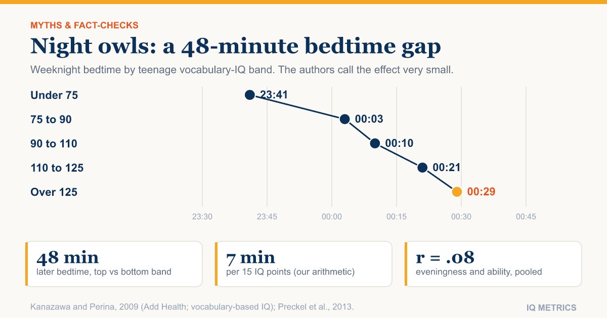 Are Night Owls Smarter? What the Chronotype Studies Show