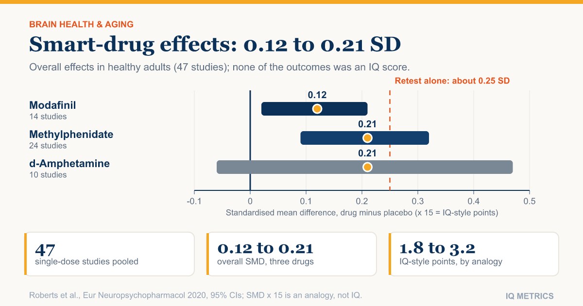 Do Smart Drugs and Nootropics Raise IQ? What the Trials Measured
