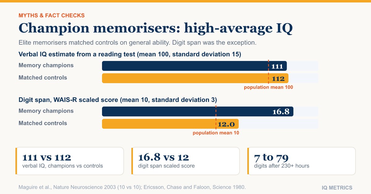 Does a Photographic Memory Mean a High IQ? What the Research Shows