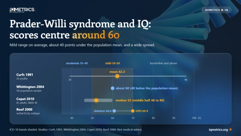Number line of IQ scores from 35 to 100 with the moderate (35 to 49) and mild (50 to 69) intellectual disability bands shaded and four Prader-Willi syndrome studies marked: a mean of 62.3 and range 39 to 96 in 26 youths, about 60 in a UK population sample, a median of 52 in 85 adults, and verbal IQ of 60.8 with a deletion against 69.9 with maternal UPD.