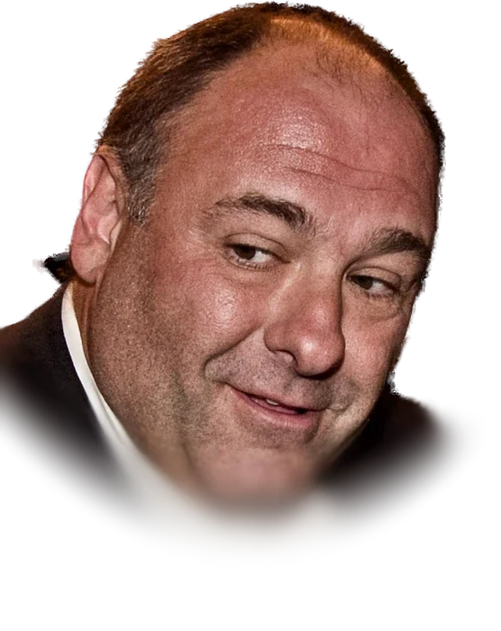 James Gandolfini, the actor who played Tony Soprano in The Sopranos, in a dark jacket and open-collar white shirt with his head tilted, at the Toronto International Film Festival in September 2011