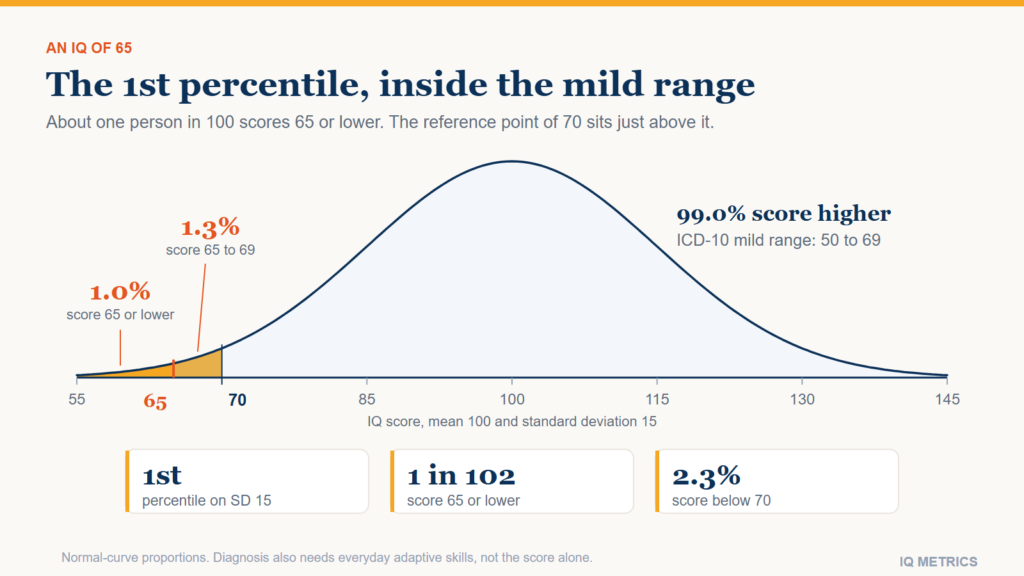 What Does an IQ of 65 Mean?