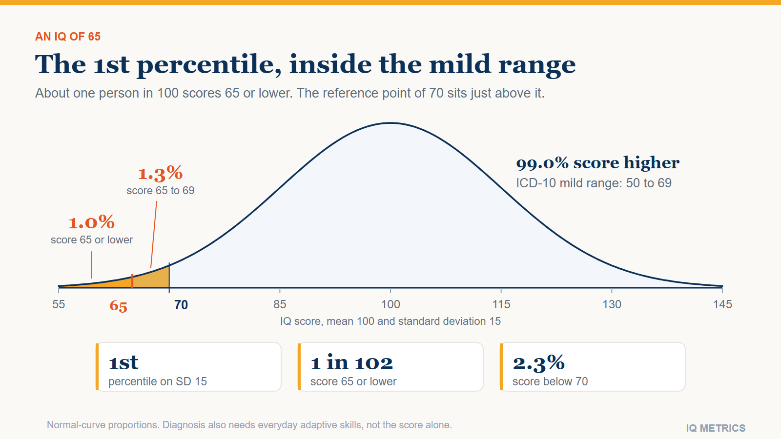 What Does an IQ of 65 Mean?