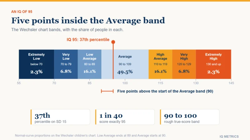 Bar of the IQ bands on the Wechsler children's chart with the share of people in each: 2.3 percent below 70, 6.8 percent 70 to 79, 16.1 percent 80 to 89, 49.5 percent 90 to 109 where 95 is marked, 16.1 percent 110 to 119, 6.8 percent 120 to 129 and 2.3 percent 130 and above.